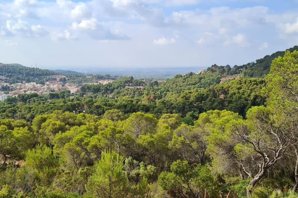 Acogedor Chalet Familiar En La Sierra Calderona Náquera 외부 사진